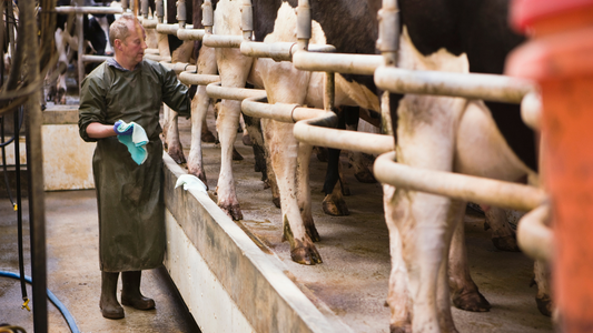 How Call Blockers Can Protect Small Farmers and Rural Households from Scam Calls