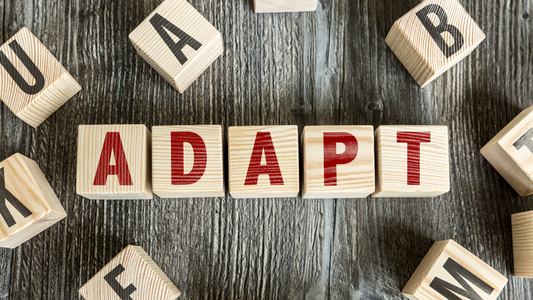 How Can Landline Call Blockers Adapt as Scammers Use More Advanced Tactics? 